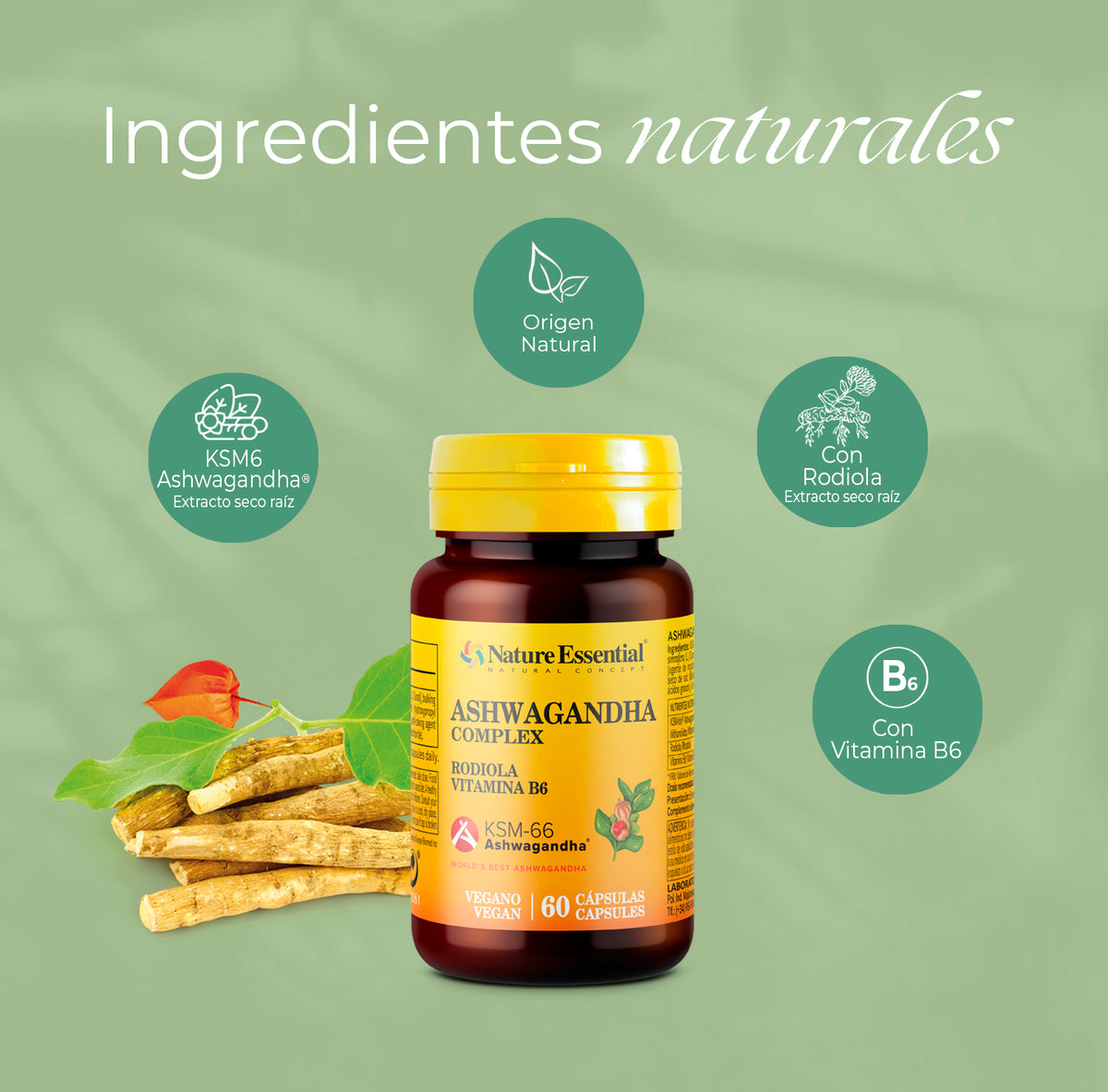 Ashwagandha complex KSM-66 ® 60 capsulas vegetales