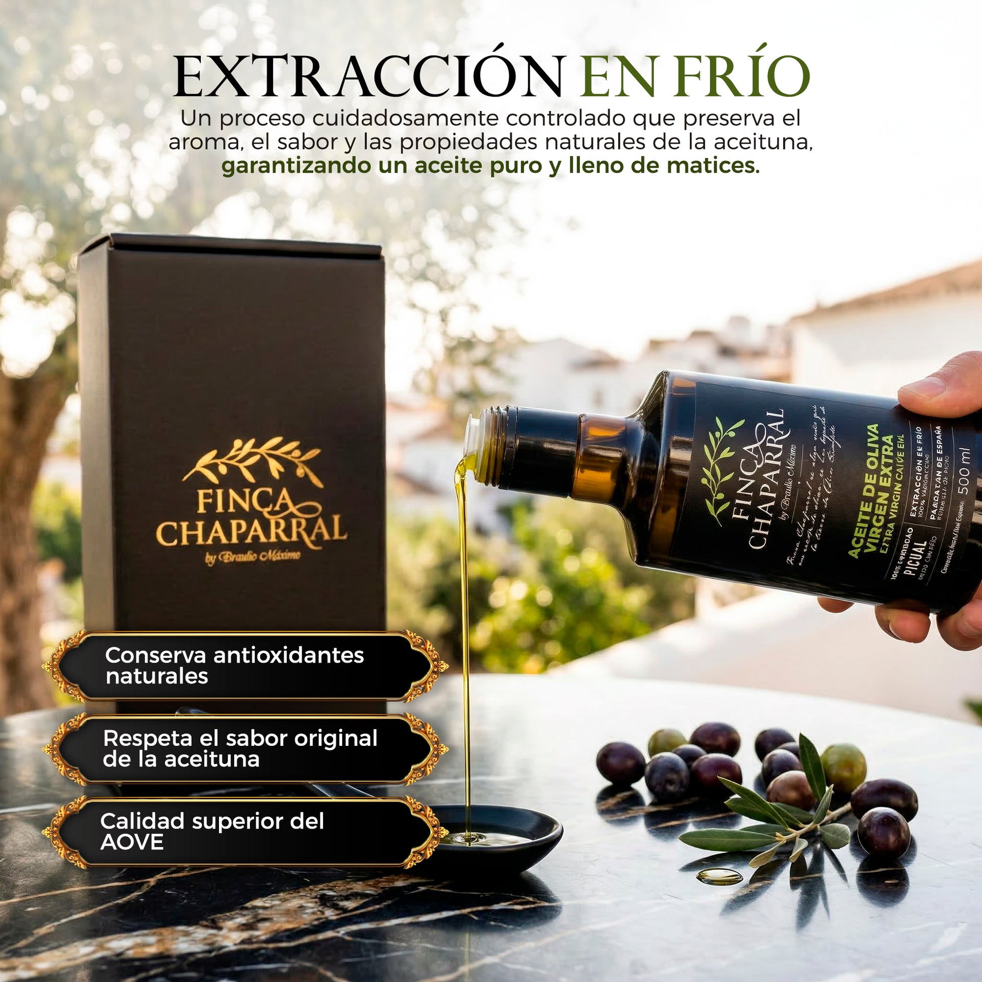 Aceite de Oliva Virgen Extra Picual Cosecha Temprana ·Finca Chaparral 500ml_2