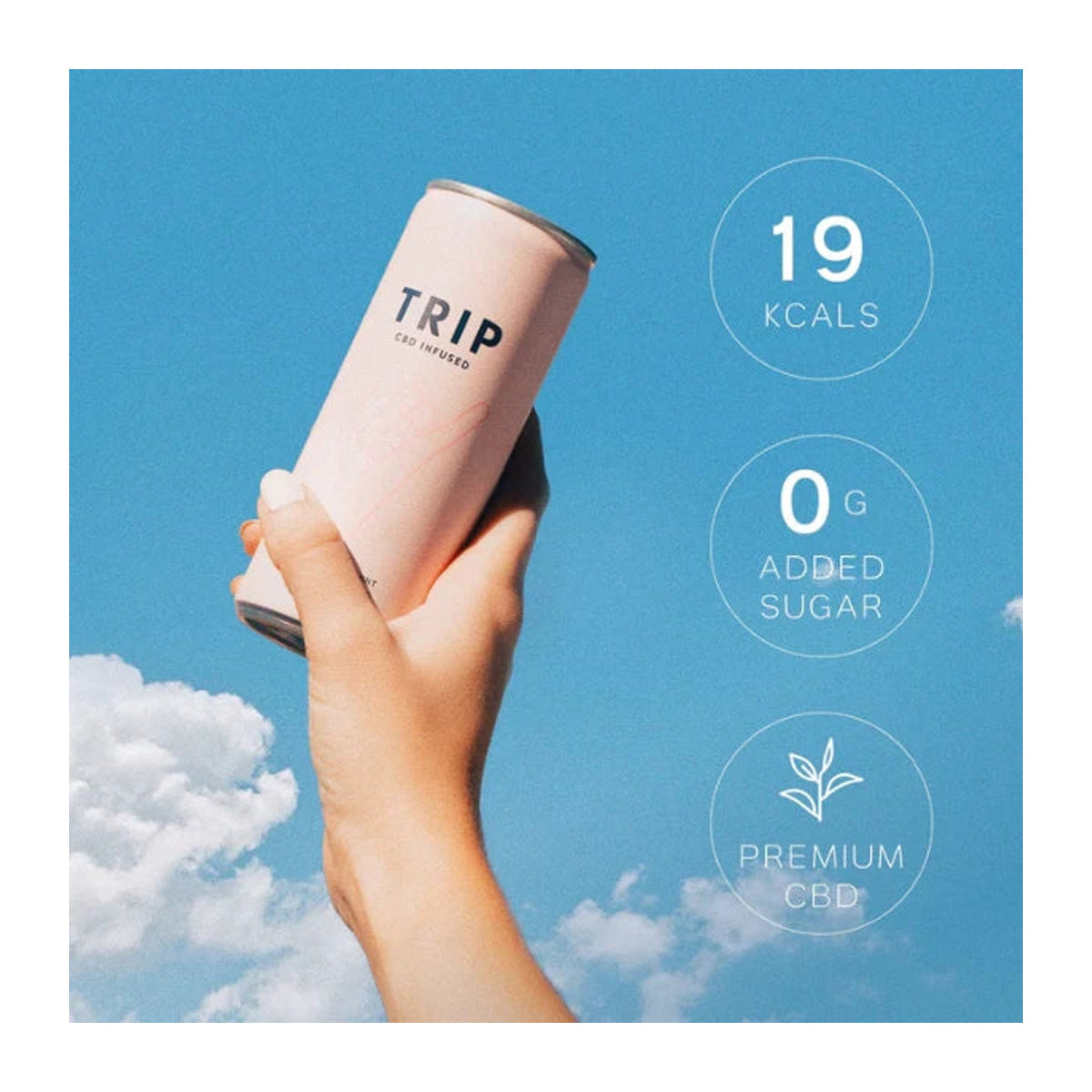 TRIP de Flor de Sabugueiro e Hortelã 250 ml