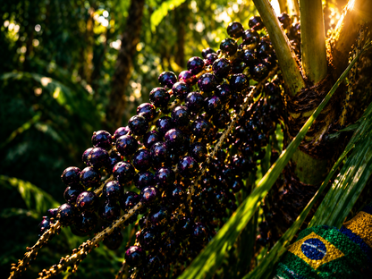 Açaí Liofilizado En Polvo Bio - 250g | Superalimento Ecológico Vegano Para Batidos, Smoothies Y Zumos_3