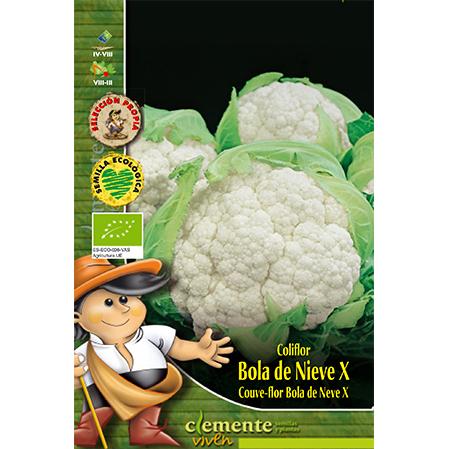 Sementes de couve-flor biológica Snowball X
