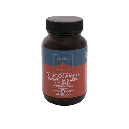Glucosamina Boswelia MSM Complex 100 Cápsulas Terra Nova