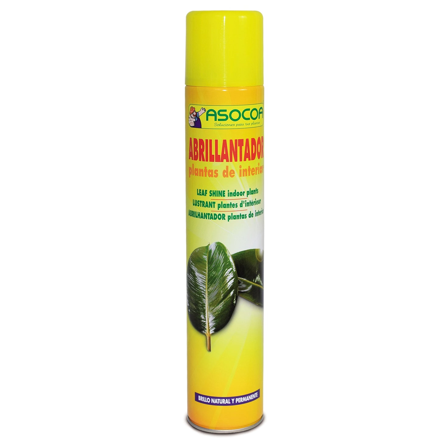 Set De 2 Abrillantadores Spray 1000 Cc_1