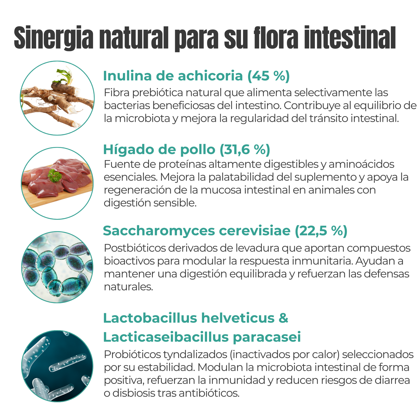 Suplemento natural para perros y gatos – Equilibrio Flora Intestinal Probióticos, Prebióticos y Postbióticos 100 g