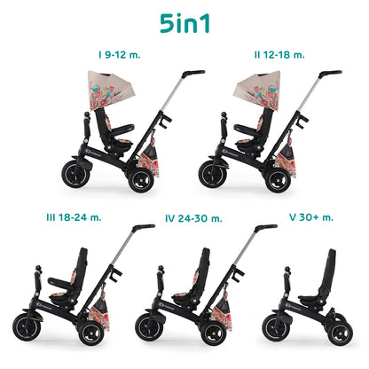 Triciclo Infantil Bidireccional Easytwist Bird_0