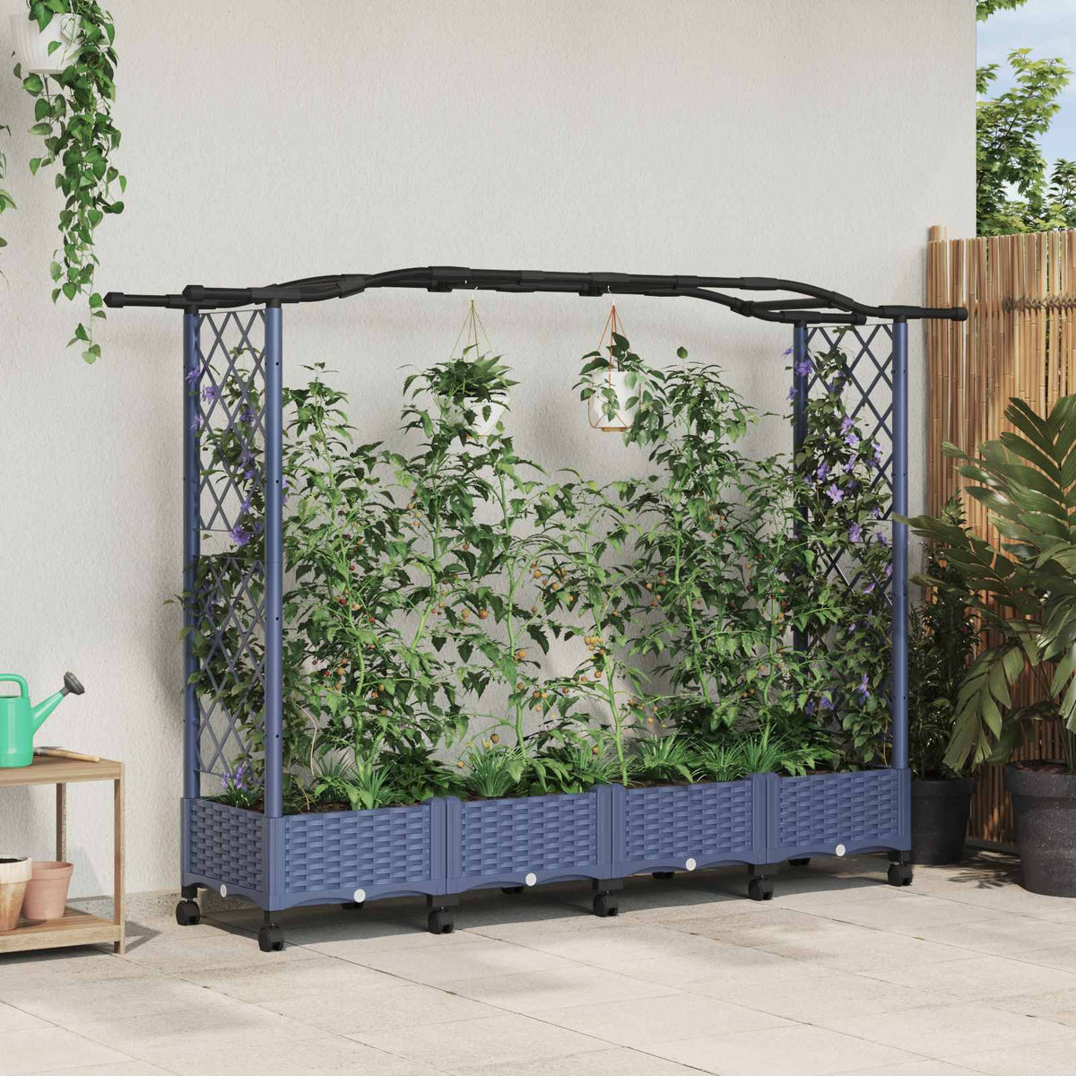 Cama Elevada Con Trellis Y Techo Gris 207 X 40 X 129 Cm Pp_1