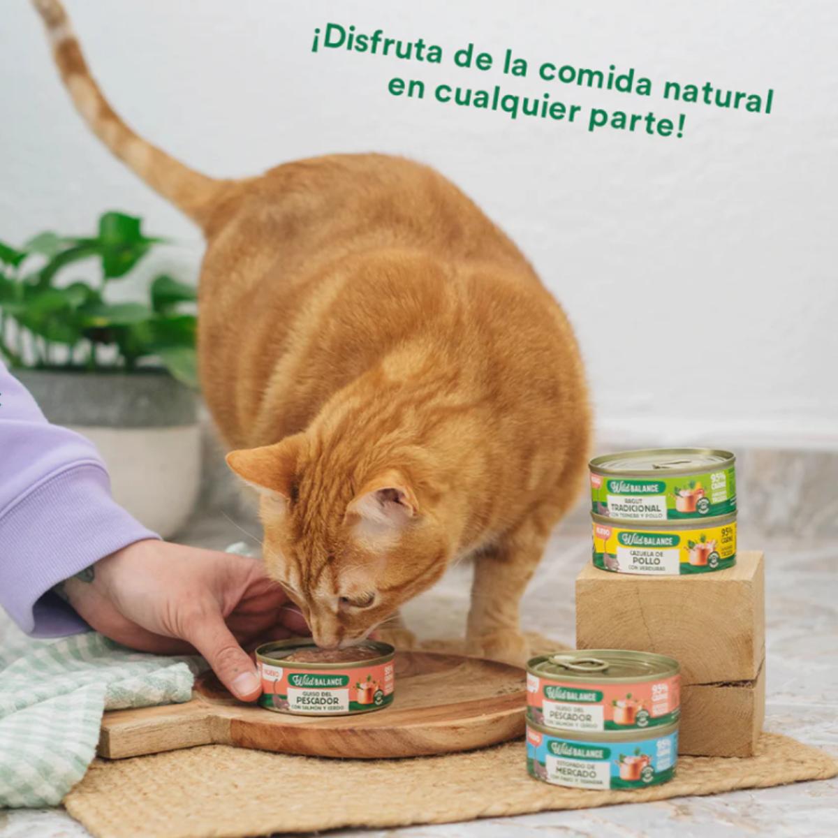 Lata cheia de ensopado de pescador Wild Balance com salmão e porco para gatos 80g