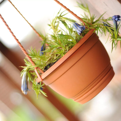 Macetero Colgante Agro 1,2l., Dimensiones (mm) 180x180x115, Color Terracota
