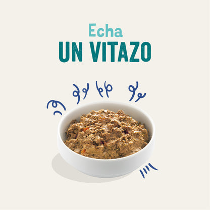 Tarrina de comida para perros con salmón y pavo sin cereales | Edgard & Cooper 150 g
