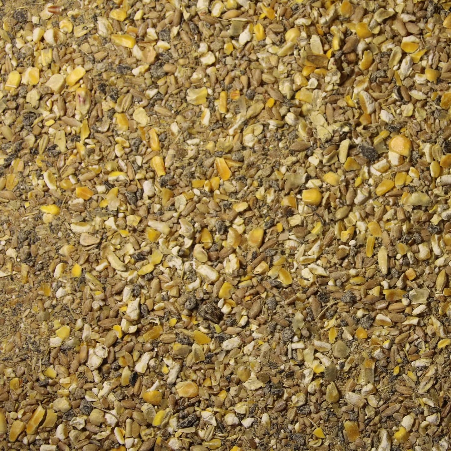 Pienso ECOLÓGICO pavos crecimiento. Saco 20kg_1