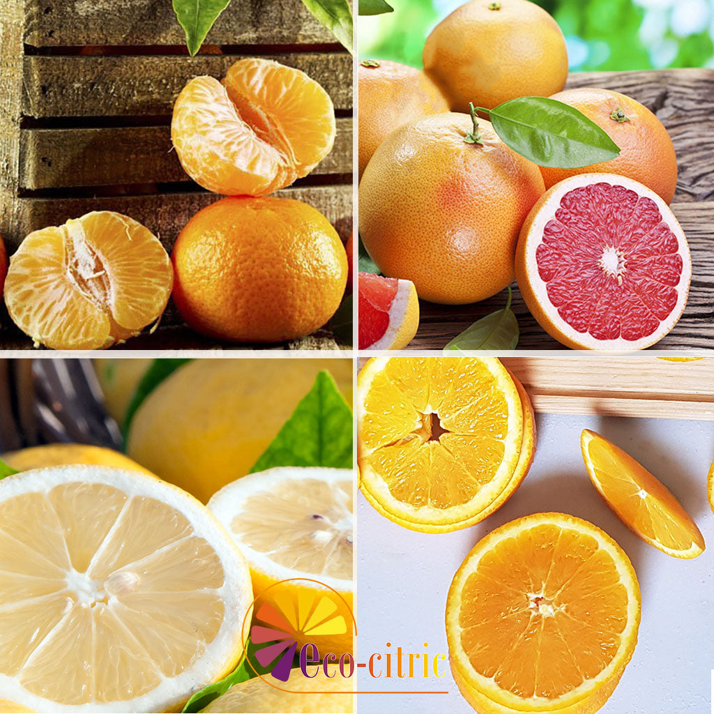 Combi Naranja, Mandarina , Limón Y Pomelo 10kg ecológico_0