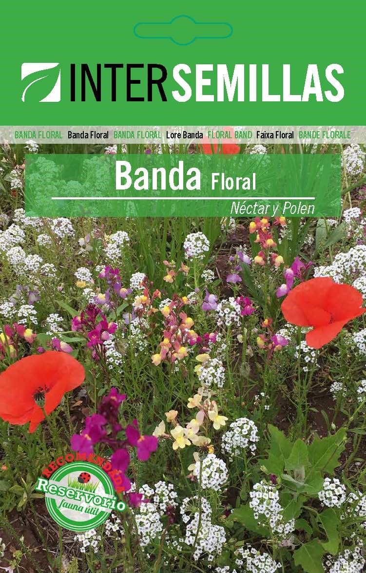 Banda Floral Nectar Y Polen Sobre De Semillas_0