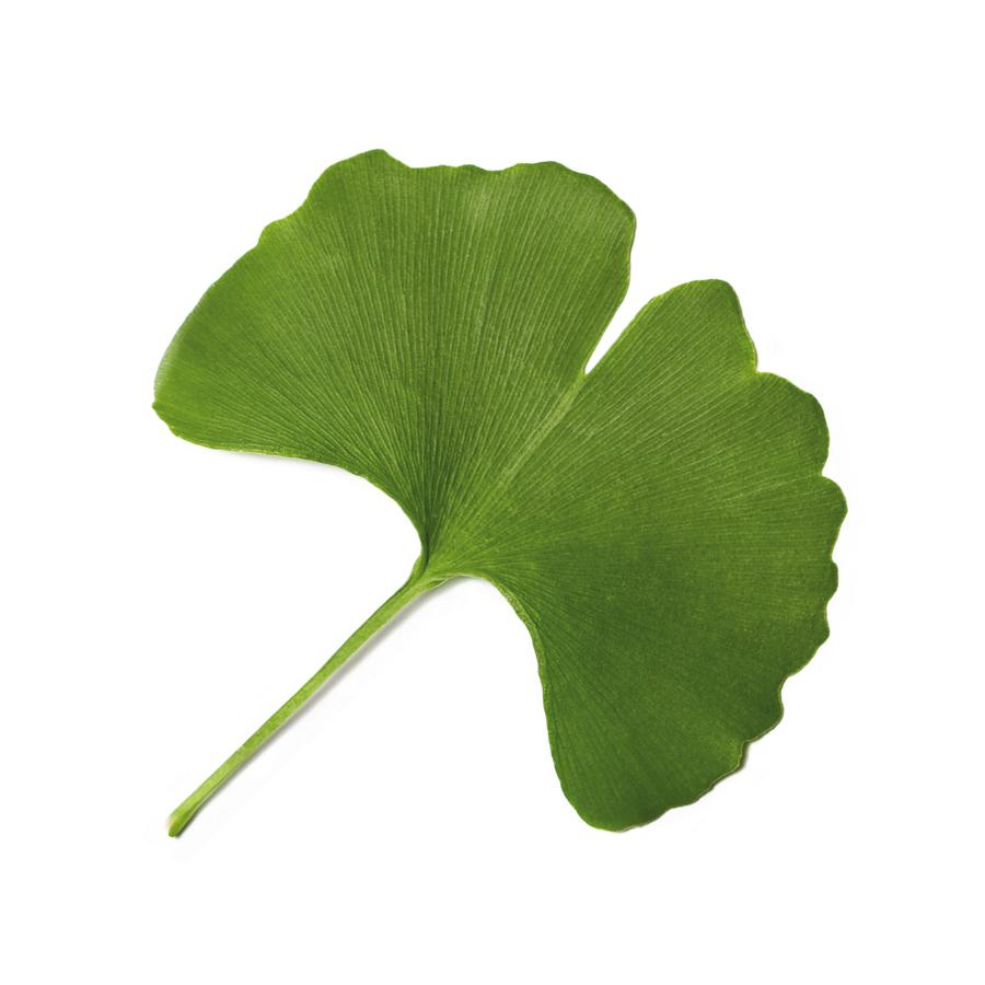 Ginkgo Biloba El Granero, 90 cápsulas.