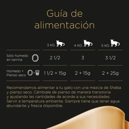 Sheba Delices du Jour Meats 6x50 g Ração húmida para gatos com molho