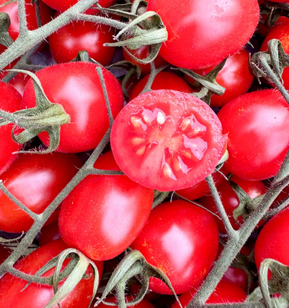 Caja De Tomates Cherry En Rama Tropitop Caja De 2kg_5