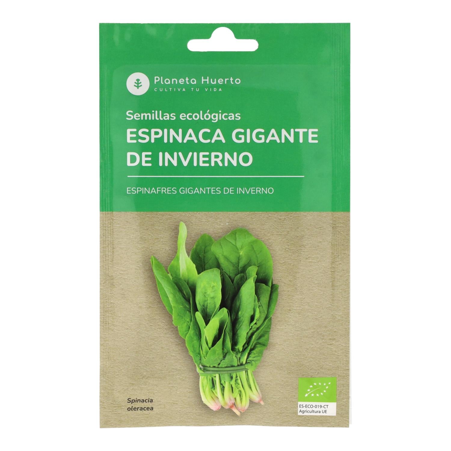 Pack de Semillas ECO "Ensaladas de Otoño"