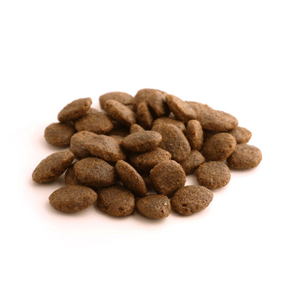Fish4dogs Pienso Para Cachorro Sin Cereales – Salmón Y Boniato 6 Kg_1