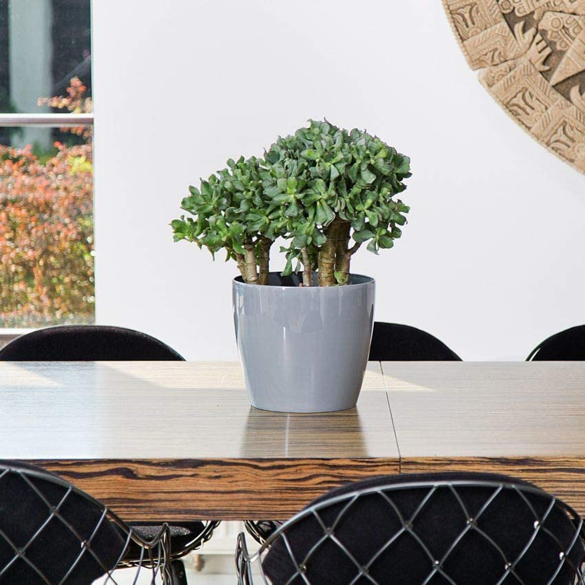 Macetero Magnolia 250 Gris