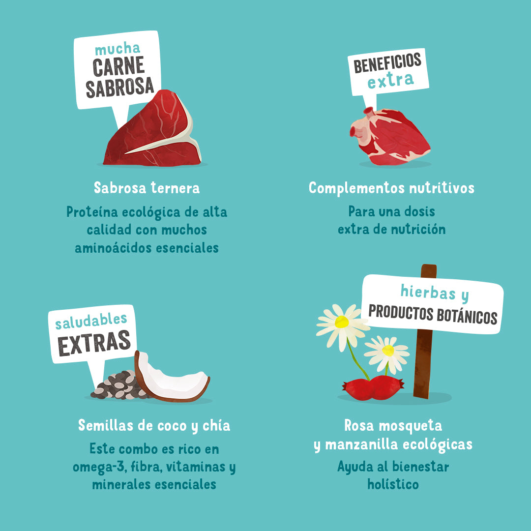 Tarrina de comida para perros con ternera orgánica sin cereales | Edgard & Cooper 100 g