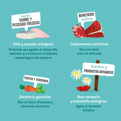 Tarrina de comida para perros con pollo ecológico y pescado sin cereales | Edgard & Cooper 100 g