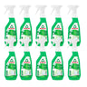 Embalagem de 10x Limpa Vidros Frosch 750 ml