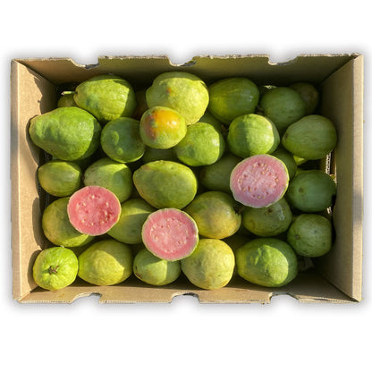Caja De Guayabas Directas Del Agricultor | Tropitop Caja de 4kg_0