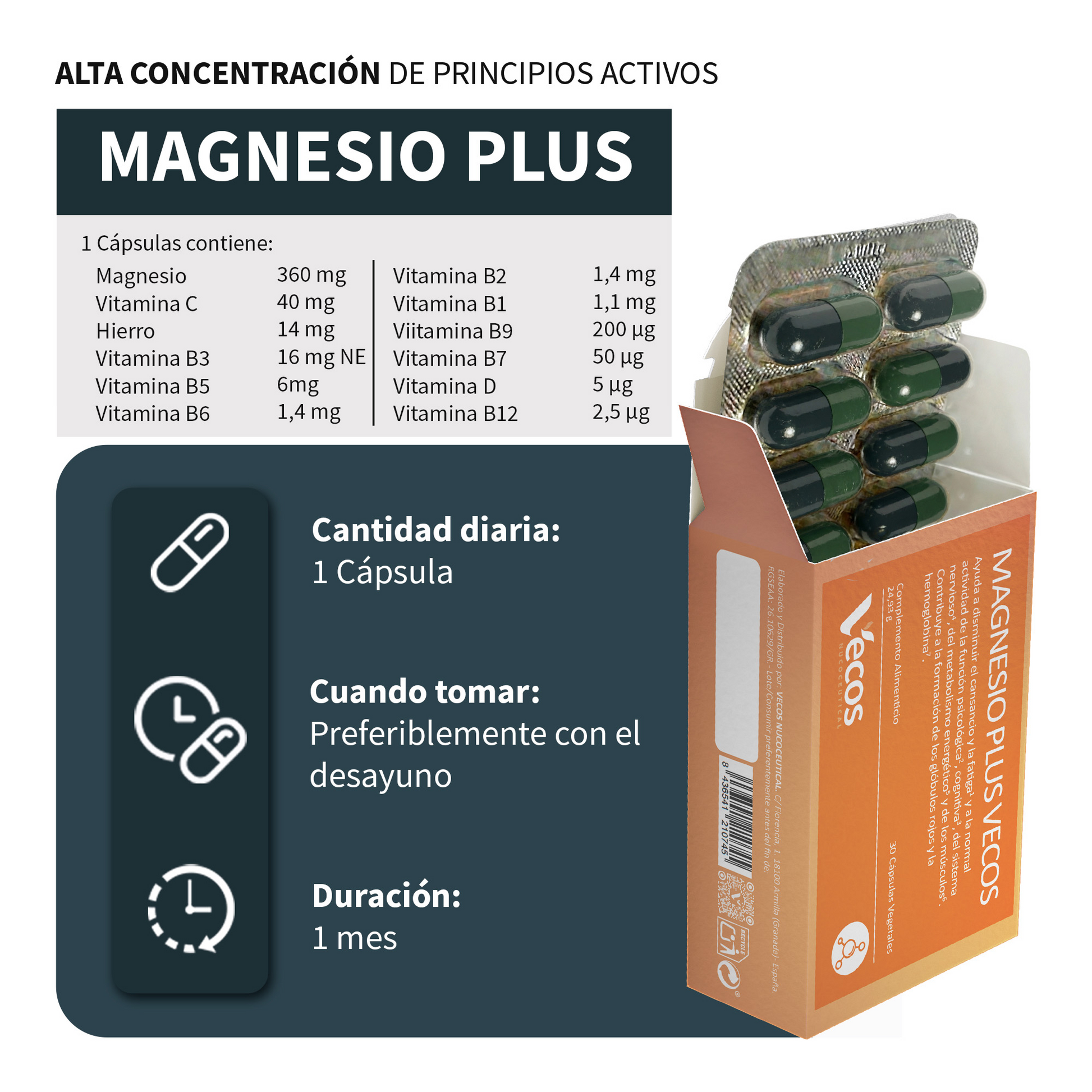 Magnesio + Vitaminas B Y Hierro Vecos 30 Cápsulas | Reducción Del Cansancio Y Energía Diaria_2