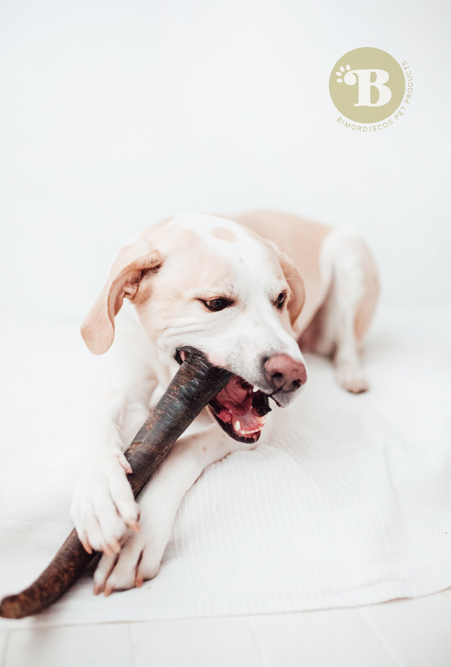 Bimorbox Grande · Pack Snacks Y Juguetes Naturales Para Perros.