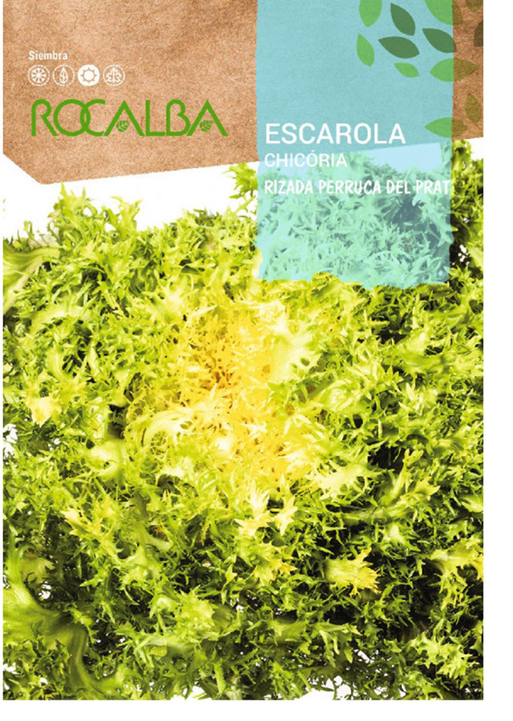 Semillas Escarola Rizada Perruca 6g_0