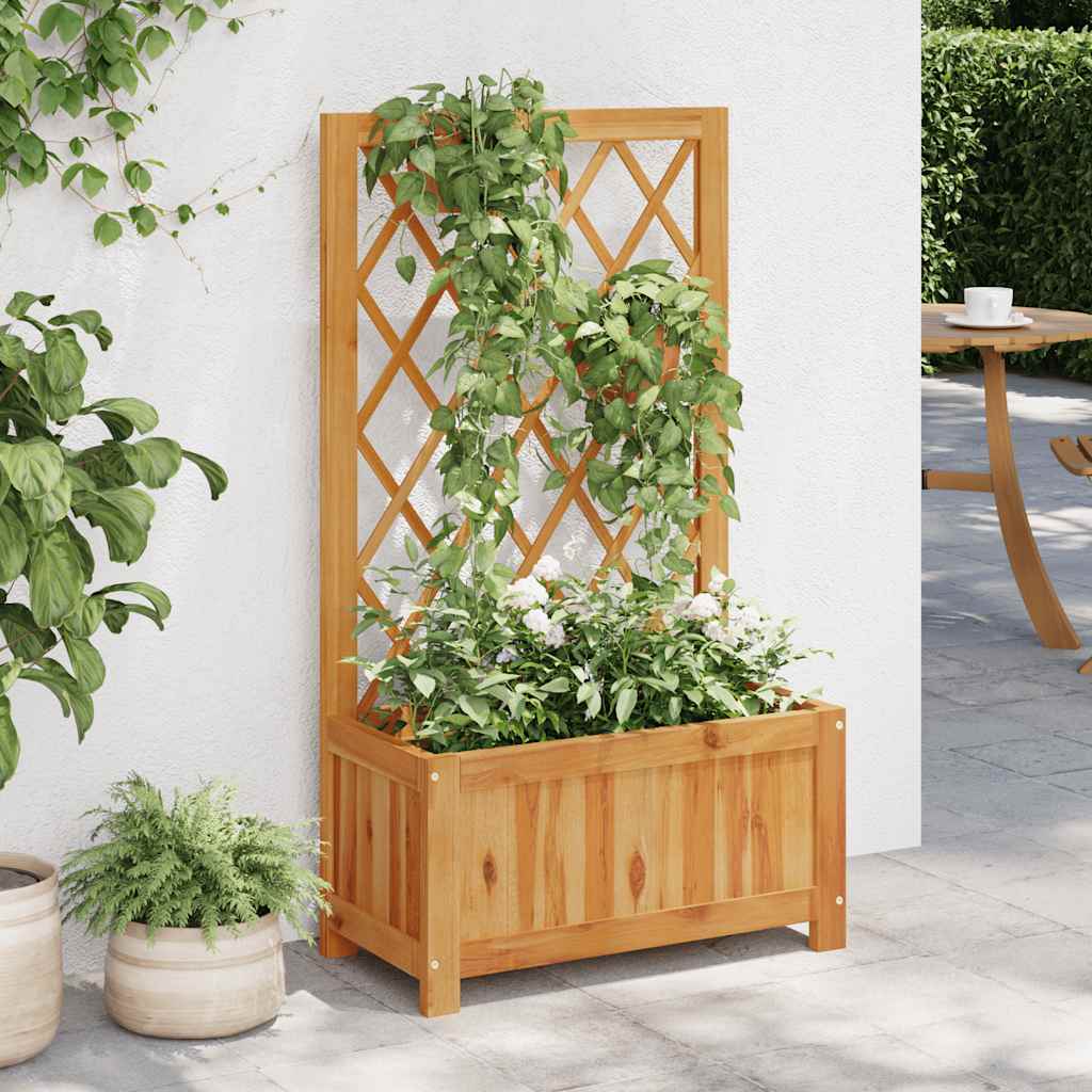 Arriate De Jardín Con Enrejado Madera De Acacia_1