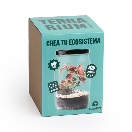 Kit Terrarium DIY – Mini Jardín Ecosistema Natural para Casa, Regalo Decorativo Original - Resetea_0