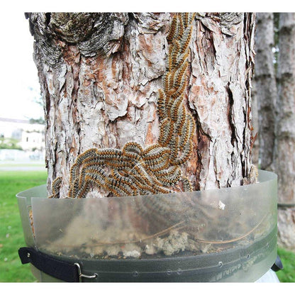 Armadilha de colar para lagarta processionária de pinheiro Ecopiege Ø 100 cm