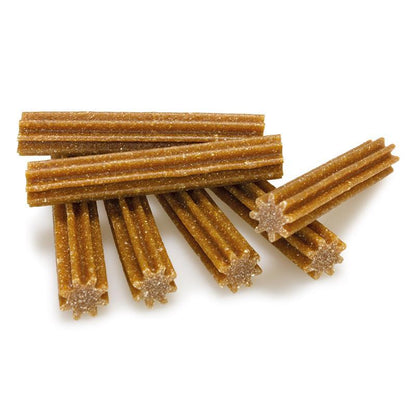 Fresh Dental Sticks Arquivet 7 unidades