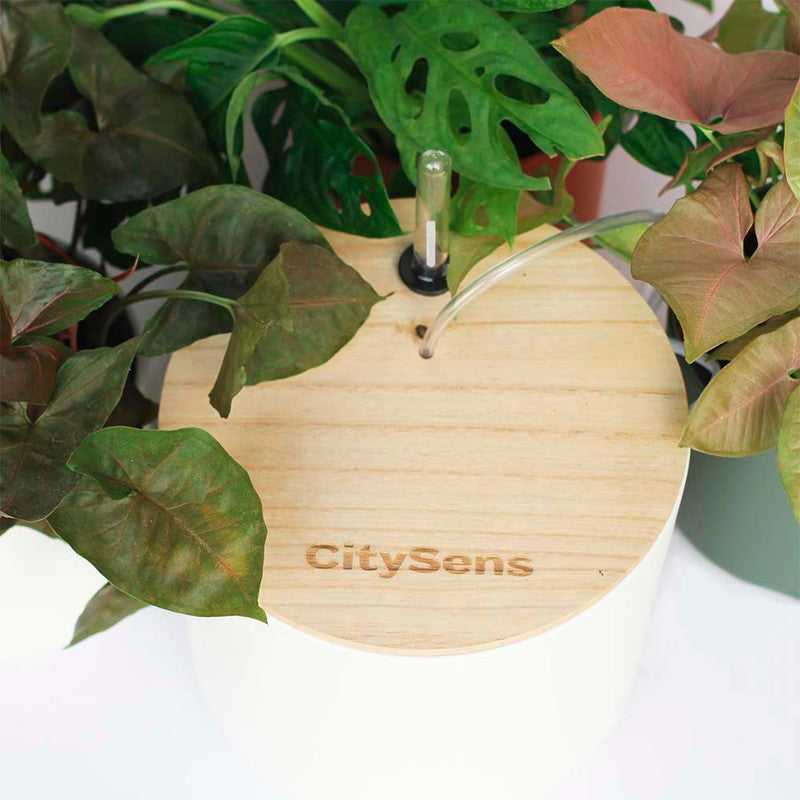 Kit De Riego Por Goteo Citysens Con Depósito Blanco Y 12 Goteros_2