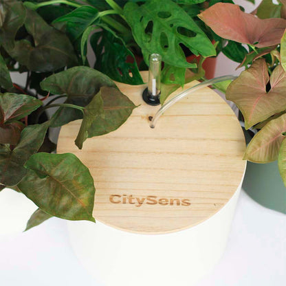 Kit De Riego Por Goteo Citysens Con Depósito Blanco Y 12 Goteros_2