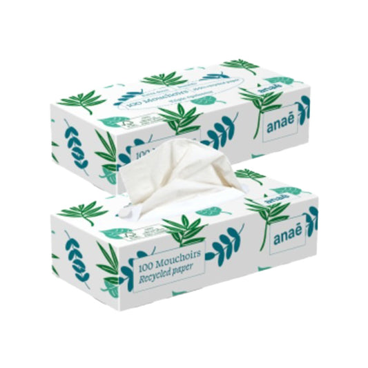 Pañuelos de papel fibras recicladas caja Anaé 100 uds