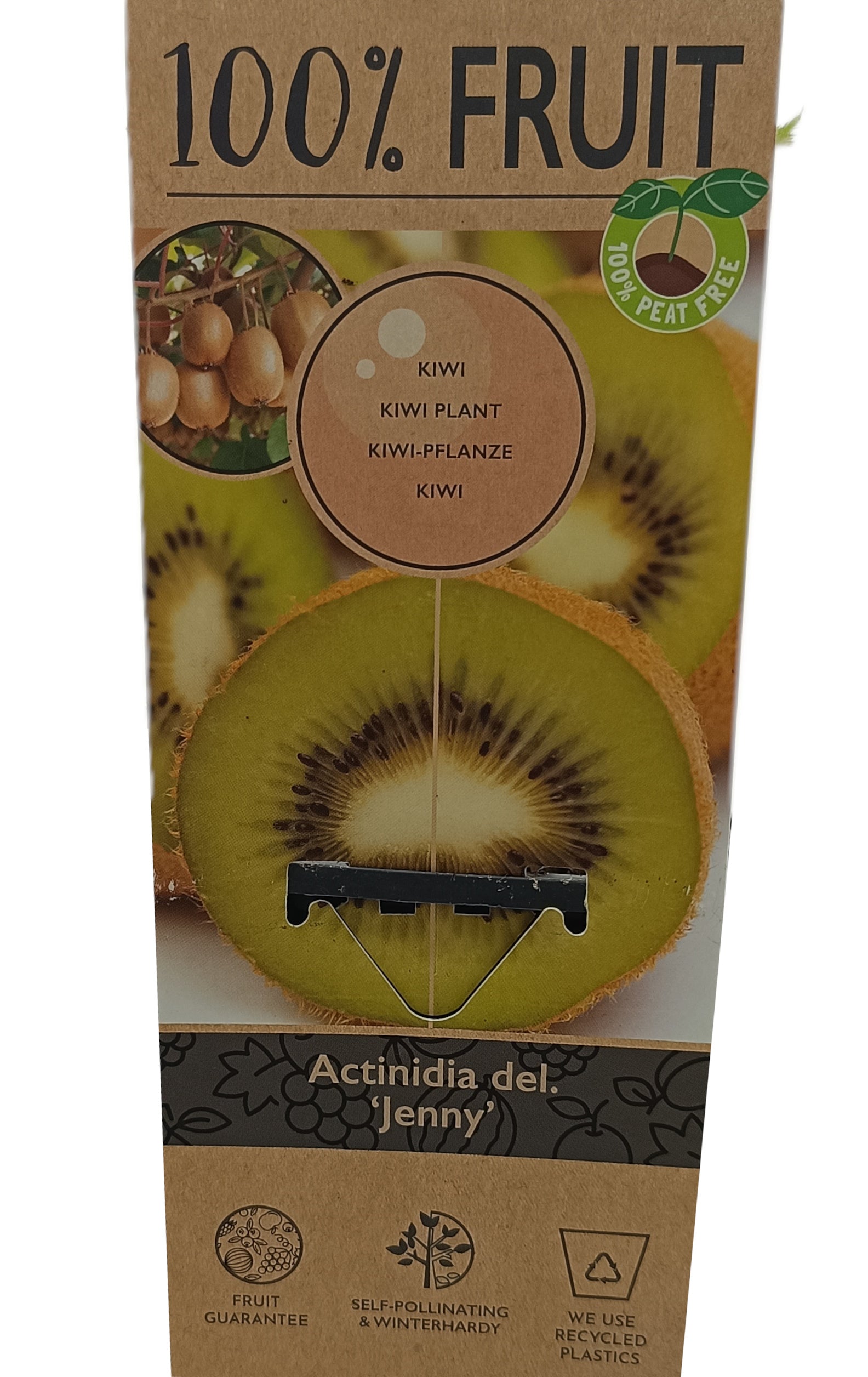 Kiwi Jenny M15_1