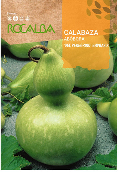 Semillas Calabaza Del Peregrino 3g_0