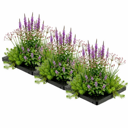 Isla Estanque Antimosquitos 75x25 Cm - Set 12 Plantas Y 3 Anillos_0