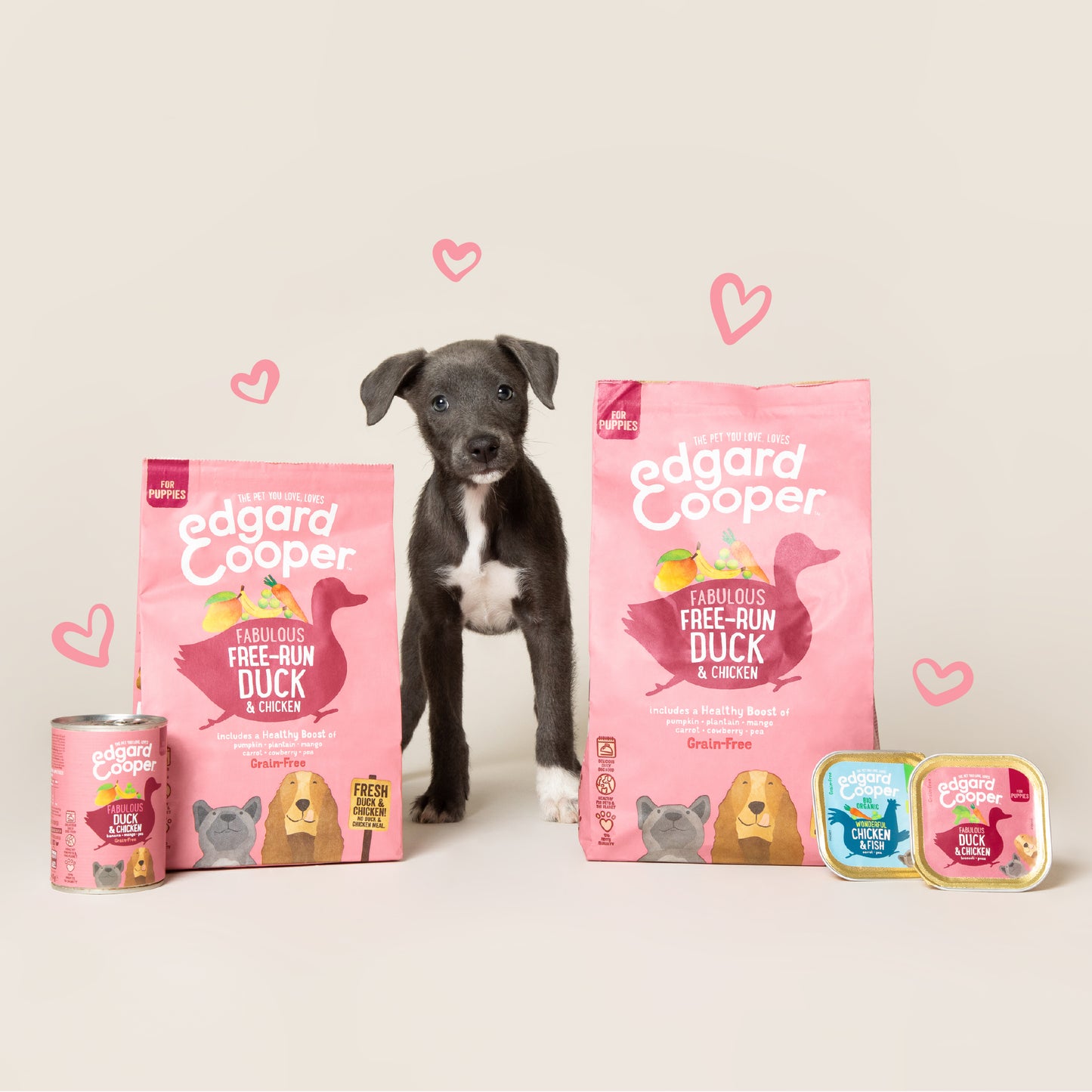 Lata de comida para cachorros de pato y pollo Sin Cereales | Edgard & Cooper 400 g