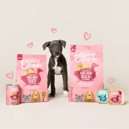 Lata de comida para cachorros de pato y pollo Sin Cereales | Edgard & Cooper 400 g
