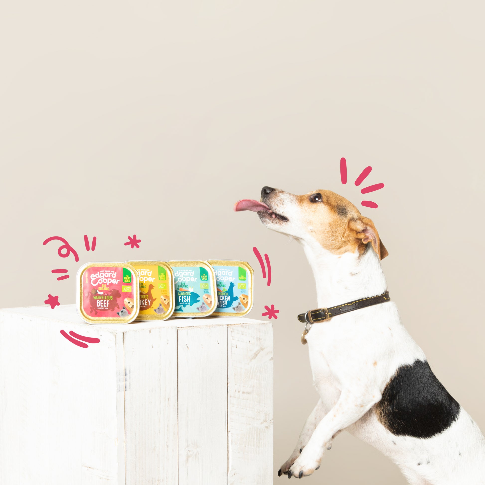 Tarrina de comida para perros con ternera orgánica sin cereales | Edgard & Cooper 100 g