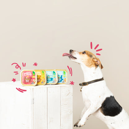 Tarrina de comida para perros con ternera orgánica sin cereales | Edgard & Cooper 100 g
