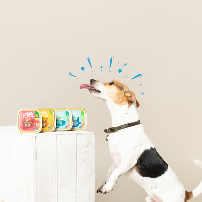 Tarrina de comida para perros con pescado orgánico sin cereales | Edgard & Cooper 100 g