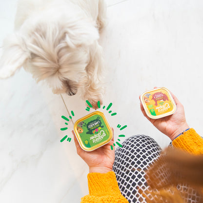 Tarrina de comida húmeda para perros con cordero y ternera sin cereales | Edgard & Cooper 150 g