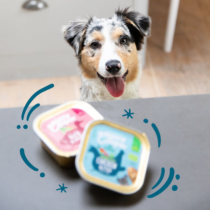 Tarrina de comida para perros con pollo ecológico y pescado sin cereales | Edgard & Cooper 100 g