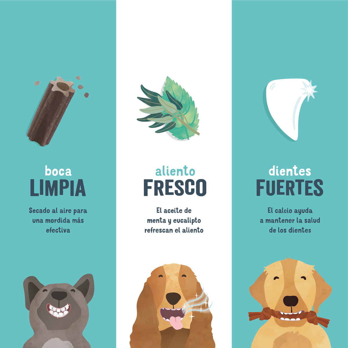 Dental de fresa y menta para perro adulto Edgard & Cooper 175 g