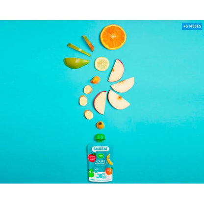 Embalagem de 10 saquetas de frutas sortidas biológicas Smileat 100 g