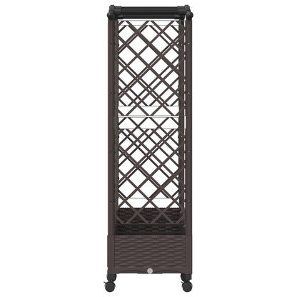 Cama Elevada Con Trellis Y Techo Marrón 203,5 X 40 X 129 Cm Pp_3