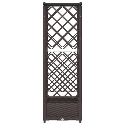 Cama Elevada Con Trellis Y Techo Marrón 122,5 X 40 X 121 Cm Pp_4